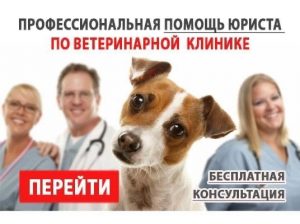 ветеринарный юрист 