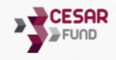 Cesar Fund (Цесар Фонд) https://cesar.fund