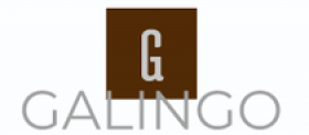 Galingo (Галинго) https://galingo.com