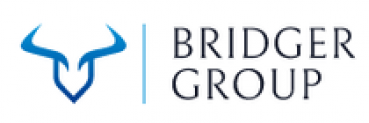 Bridger Group (Бриджер Групп)