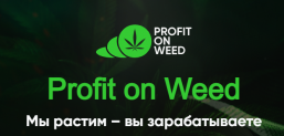 ИНВЕСТИРУЙ В КАНАБИС! Profit on weed (profitonweed.com) отзывы