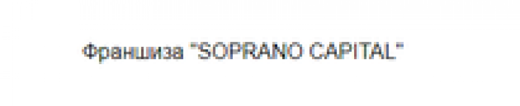 Отзывы о франшизе “Soprano capital”